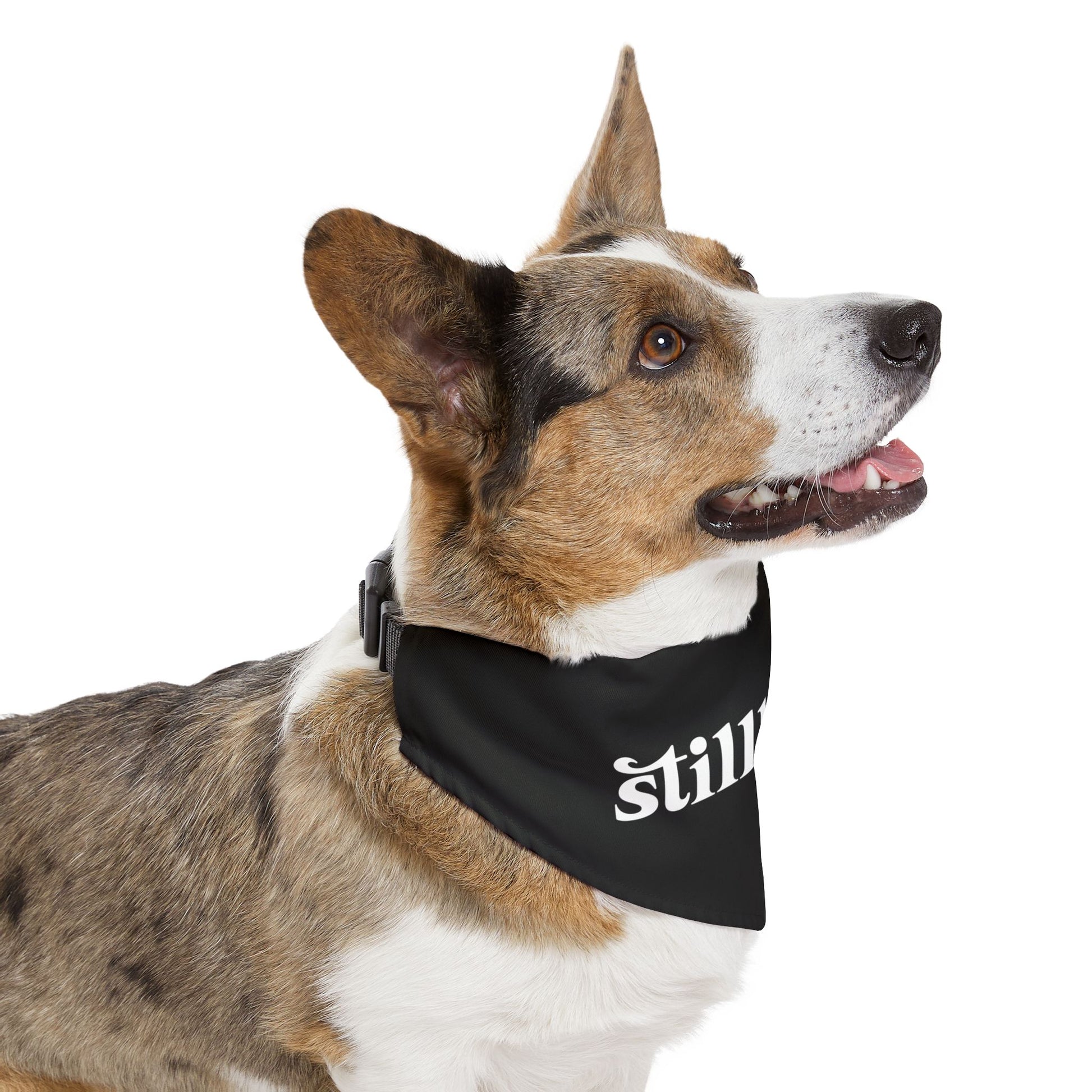 Stillbilly Pet Bandana Collar