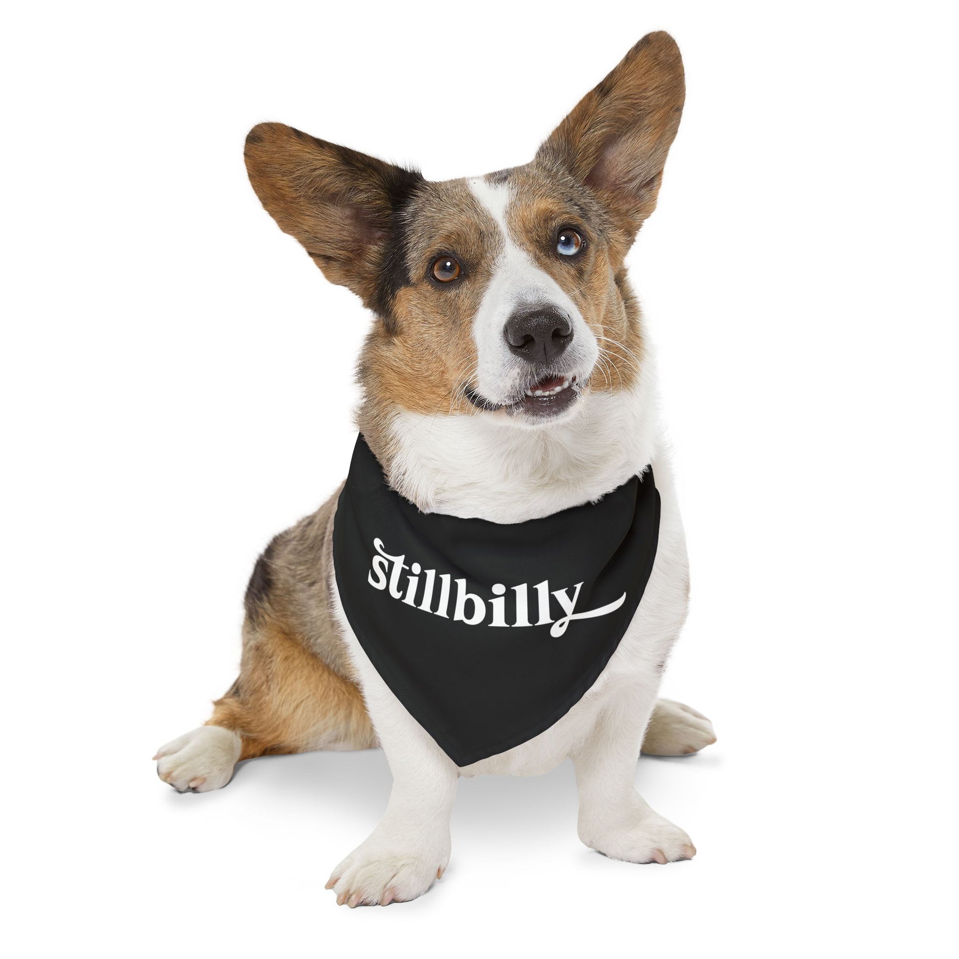 Stillbilly Pet Bandana Collar