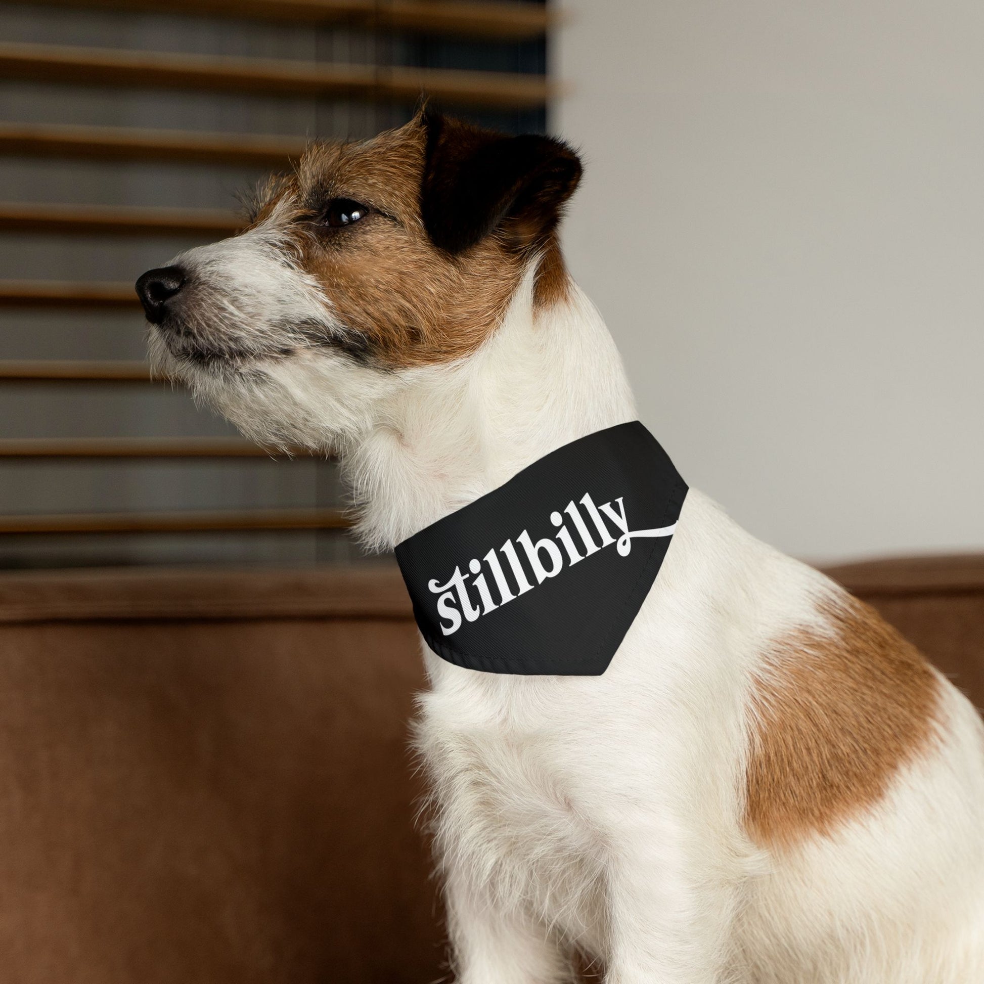 Stillbilly Pet Bandana Collar