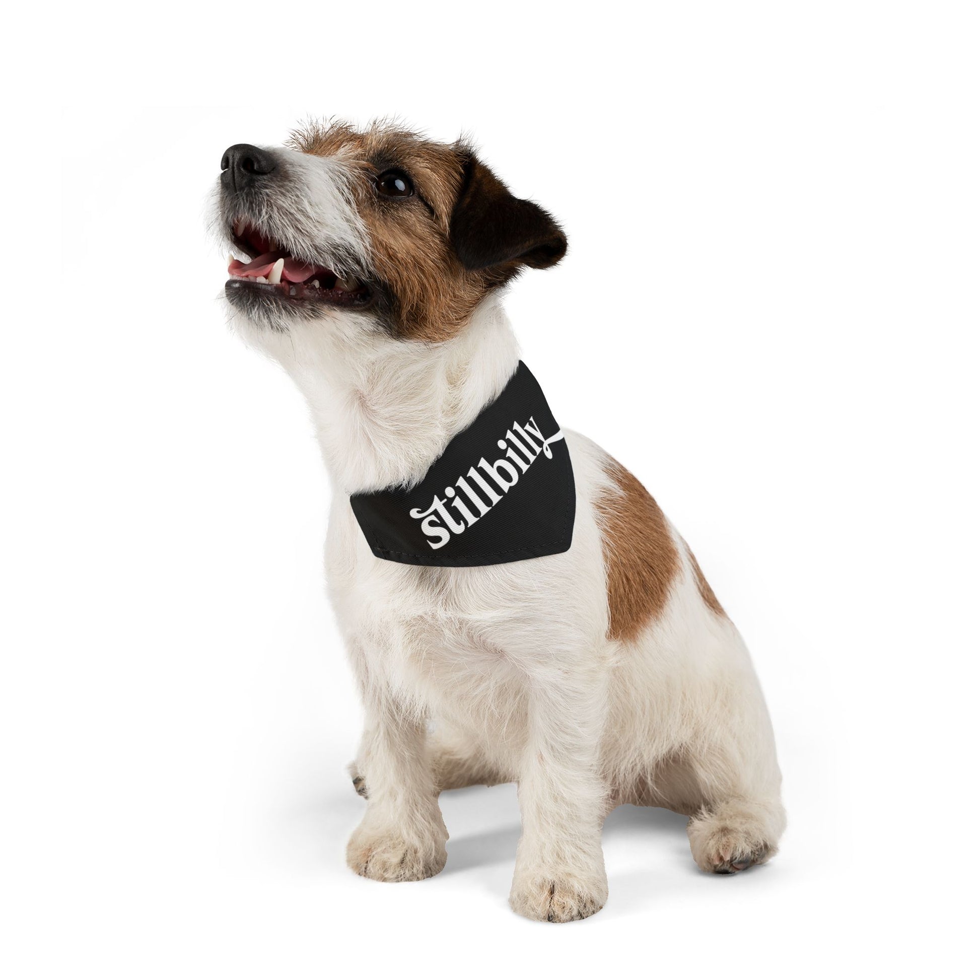 Stillbilly Pet Bandana Collar
