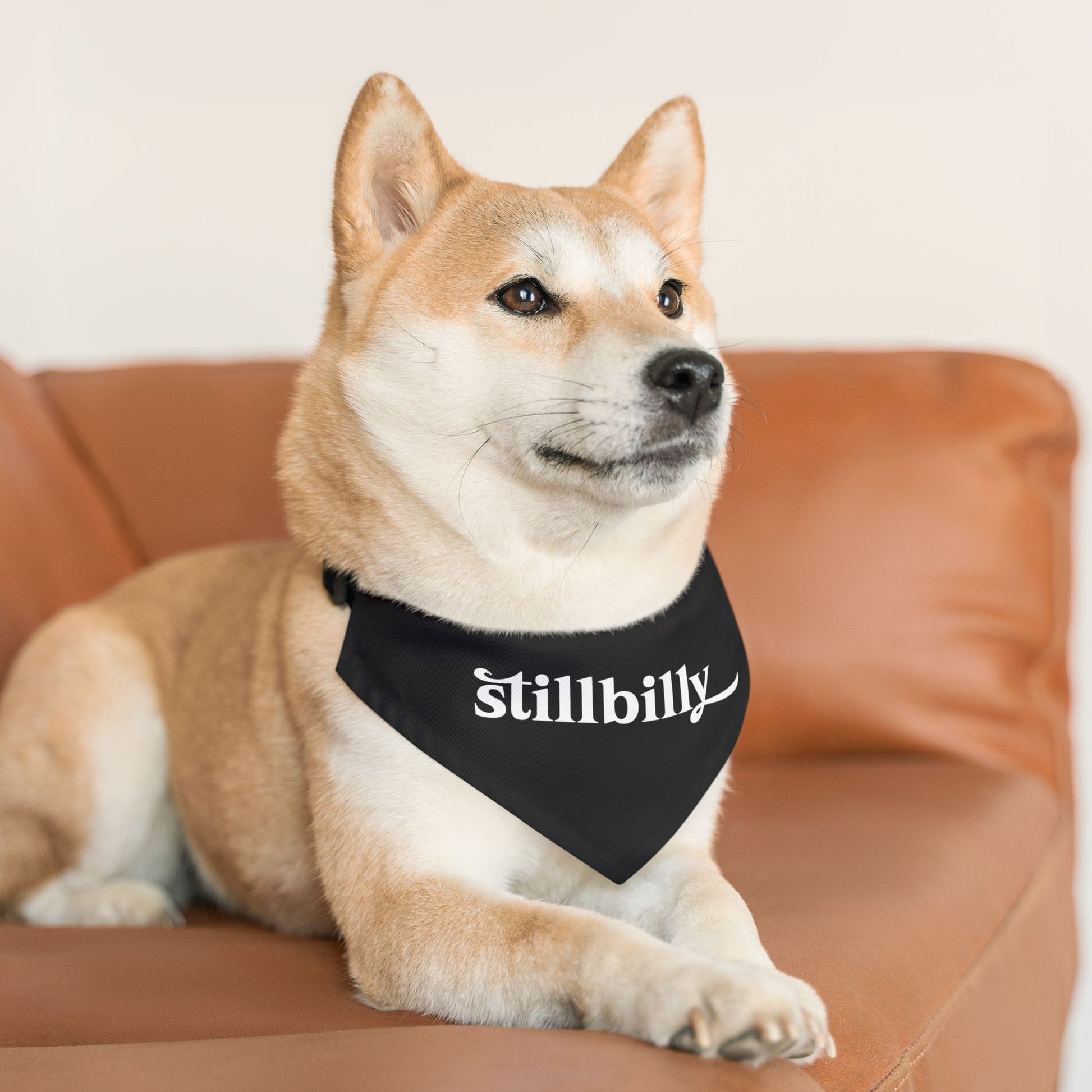 Stillbilly Pet Bandana Collar